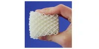 TPU